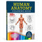 Human Anatomy - Coloring Book