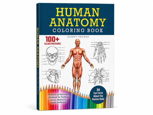 Human Anatomy - Coloring Book